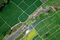 Observing Water in Agriculture from Space: A Personal Perspective